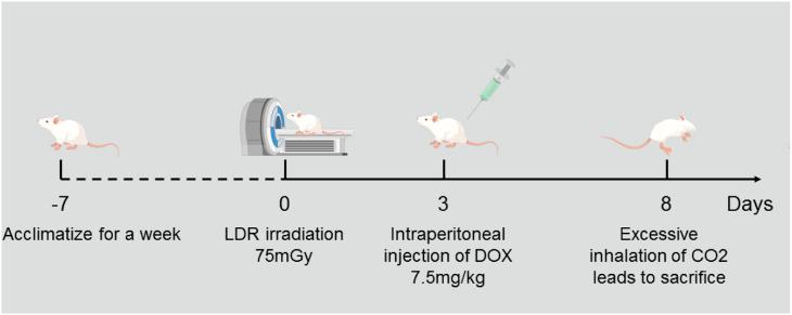 https://cdn.ncbi.nlm.nih.gov/pmc/blobs/c468/9926390/92b9e86cc1fc/10.1177_15593258231155789-fig1.jpg