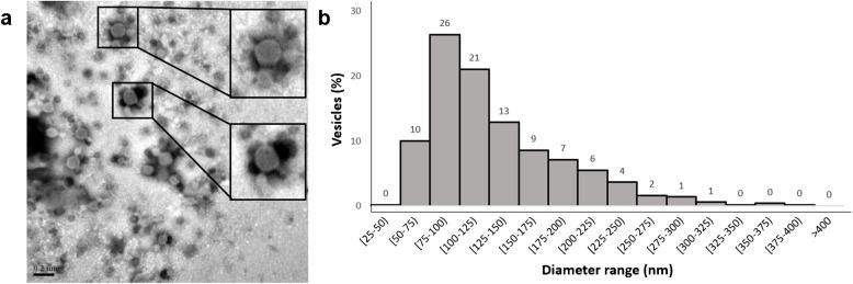 https://cdn.ncbi.nlm.nih.gov/pmc/blobs/c469/12011935/e52a97ea4888/604_2025_7147_Fig1_HTML.jpg