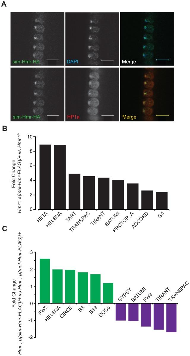 https://cdn.ncbi.nlm.nih.gov/pmc/blobs/c46a/3961192/0e4fa55acc7f/pgen.1004240.g009.jpg