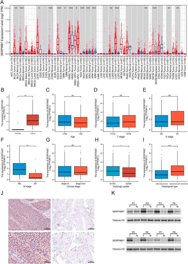https://cdn.ncbi.nlm.nih.gov/pmc/blobs/c46b/10559959/59c498894412/gr2.jpg