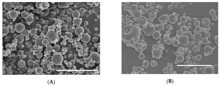 https://cdn.ncbi.nlm.nih.gov/pmc/blobs/c46b/7996356/e0a25d93a9f4/nanomaterials-11-00575-g001.jpg