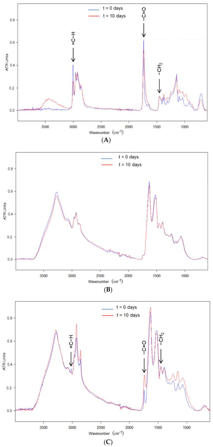https://cdn.ncbi.nlm.nih.gov/pmc/blobs/c46b/7996356/fc51e8e12024/nanomaterials-11-00575-g004.jpg