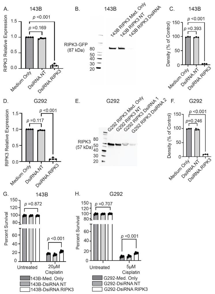 https://cdn.ncbi.nlm.nih.gov/pmc/blobs/c46f/12027565/73b33c09743e/ijms-26-03863-g004.jpg