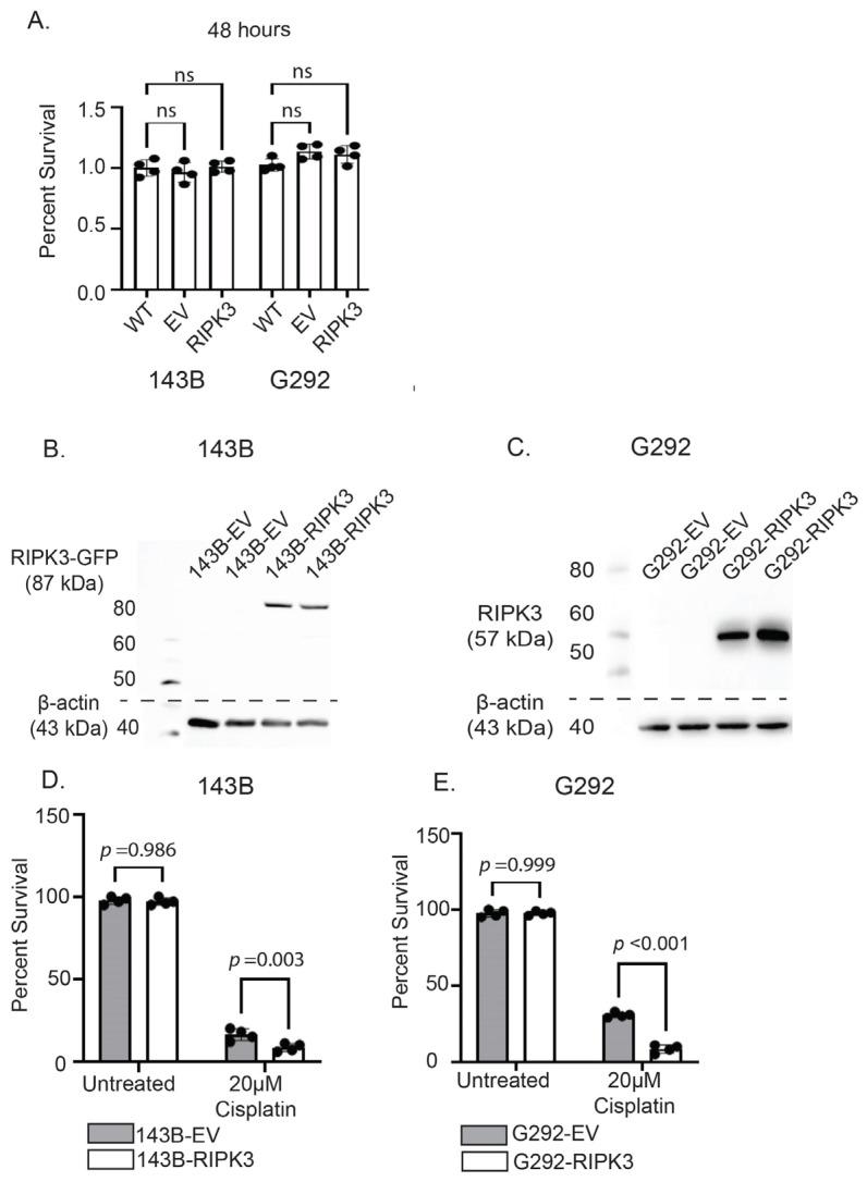 https://cdn.ncbi.nlm.nih.gov/pmc/blobs/c46f/12027565/be8a9e76d2d2/ijms-26-03863-g003.jpg