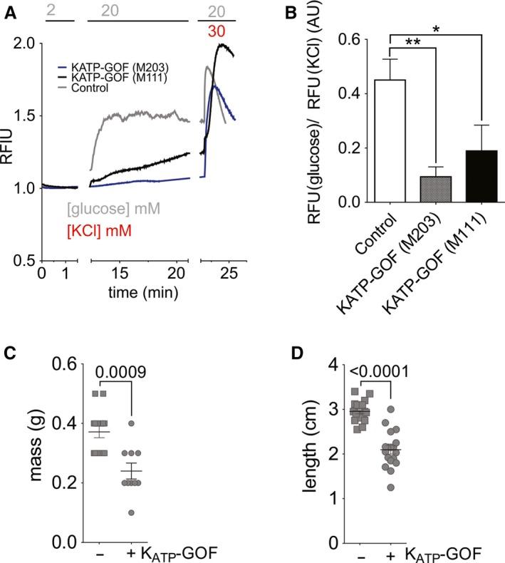 https://cdn.ncbi.nlm.nih.gov/pmc/blobs/c470/6546968/99c70570f8d4/PHY2-7-e14101-g007.jpg