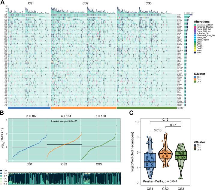 https://cdn.ncbi.nlm.nih.gov/pmc/blobs/c472/12197953/be6d60f364a0/fimmu-16-1601243-g002.jpg