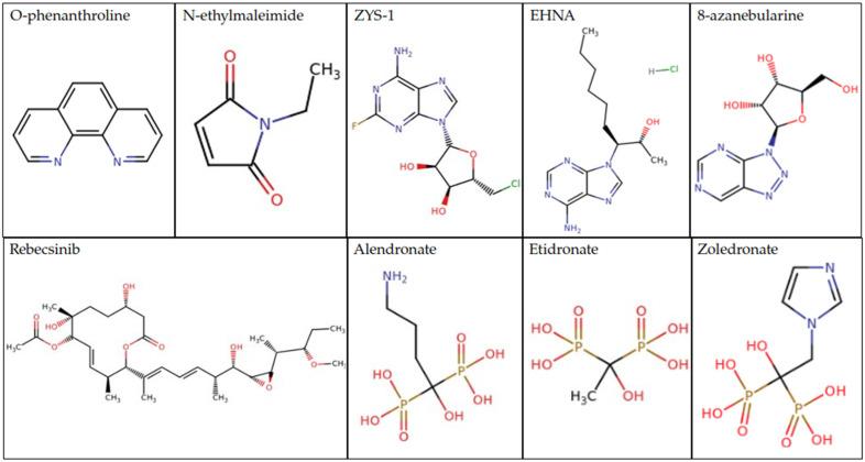 https://cdn.ncbi.nlm.nih.gov/pmc/blobs/c474/11120146/80aa7ae068c4/cimb-46-00243-g008.jpg