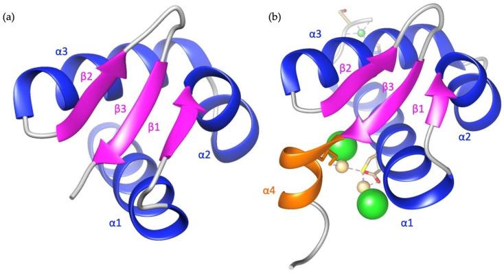 https://cdn.ncbi.nlm.nih.gov/pmc/blobs/c474/11120146/cce28cc1d2f5/cimb-46-00243-g006.jpg