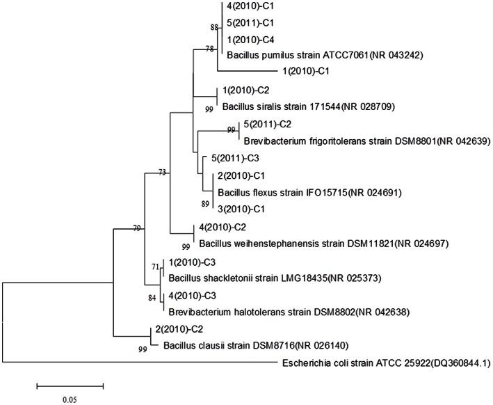 https://cdn.ncbi.nlm.nih.gov/pmc/blobs/c475/3675146/4570aa48ab24/pone.0065249.g005.jpg