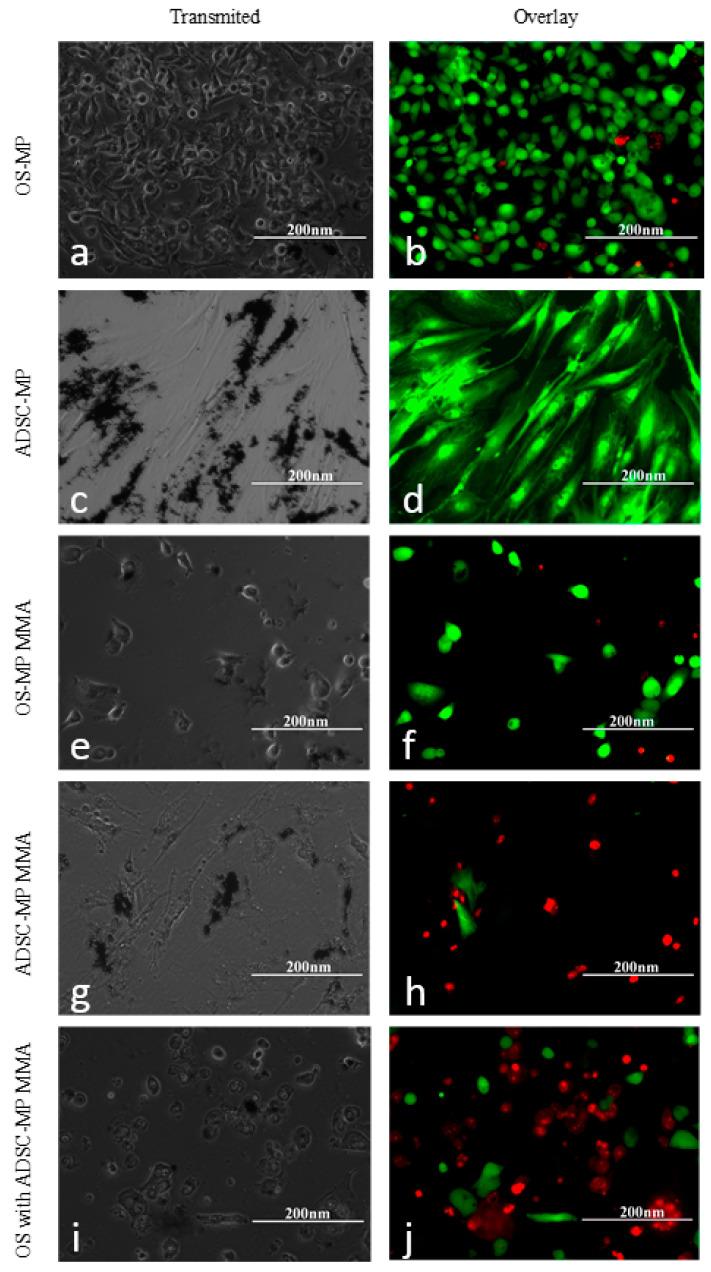https://cdn.ncbi.nlm.nih.gov/pmc/blobs/c477/10675303/1a64b981f2ae/nanomaterials-13-02941-g011.jpg