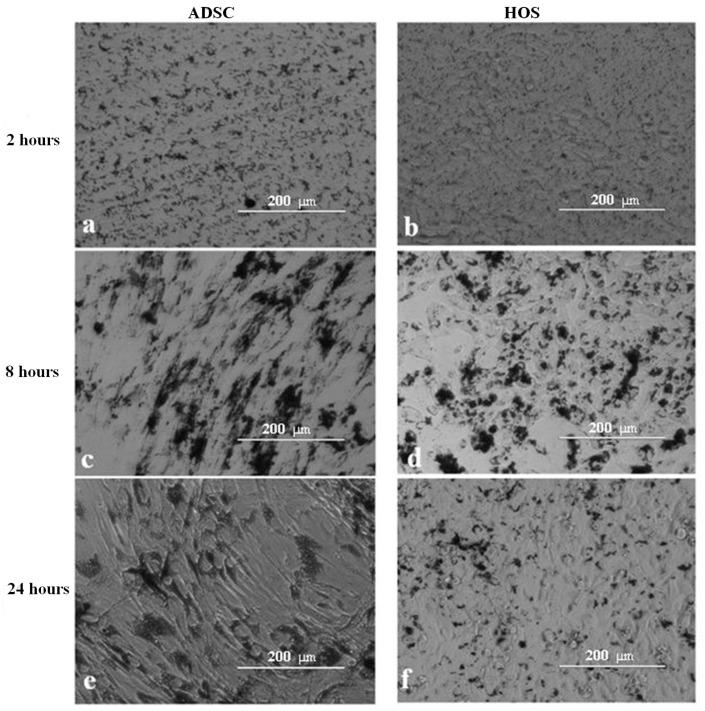 https://cdn.ncbi.nlm.nih.gov/pmc/blobs/c477/10675303/1f1df3c16377/nanomaterials-13-02941-g005.jpg