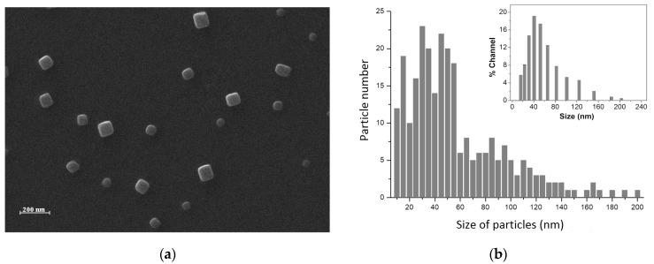 https://cdn.ncbi.nlm.nih.gov/pmc/blobs/c477/10675303/9f1ed9ea01d2/nanomaterials-13-02941-g002.jpg