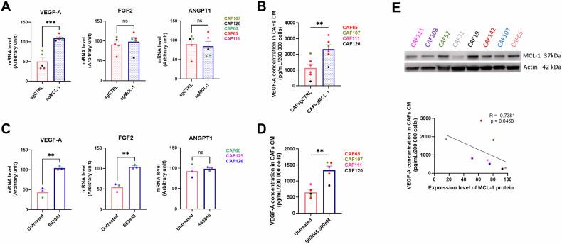 https://cdn.ncbi.nlm.nih.gov/pmc/blobs/c478/12335522/0790d3ec9bb9/41419_2025_7920_Fig2_HTML.jpg