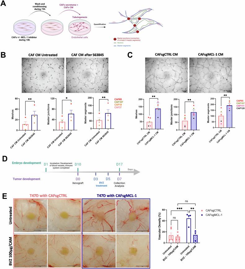 https://cdn.ncbi.nlm.nih.gov/pmc/blobs/c478/12335522/15a0ac840462/41419_2025_7920_Fig3_HTML.jpg