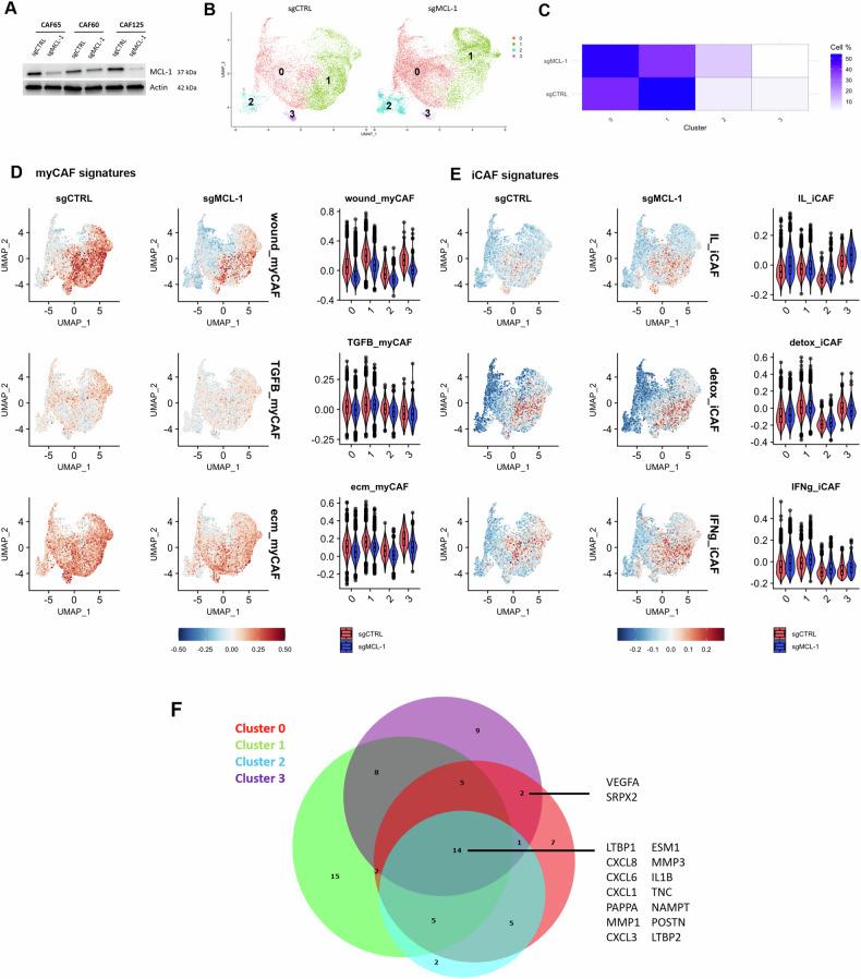 https://cdn.ncbi.nlm.nih.gov/pmc/blobs/c478/12335522/8a8f2cc5ac5d/41419_2025_7920_Fig1_HTML.jpg