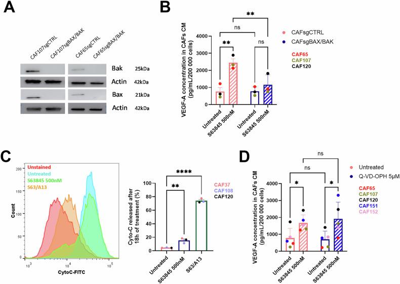 https://cdn.ncbi.nlm.nih.gov/pmc/blobs/c478/12335522/c58b6423bf46/41419_2025_7920_Fig4_HTML.jpg