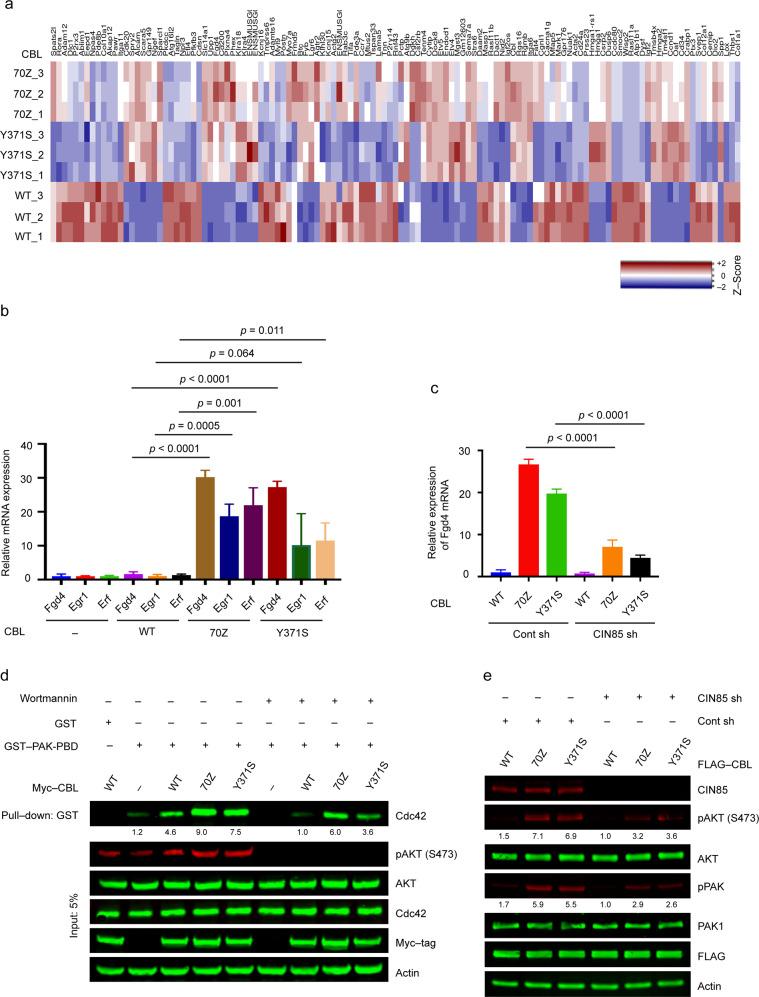 https://cdn.ncbi.nlm.nih.gov/pmc/blobs/c478/7994203/5f28daa4a2e9/41388_2021_1684_Fig5_HTML.jpg