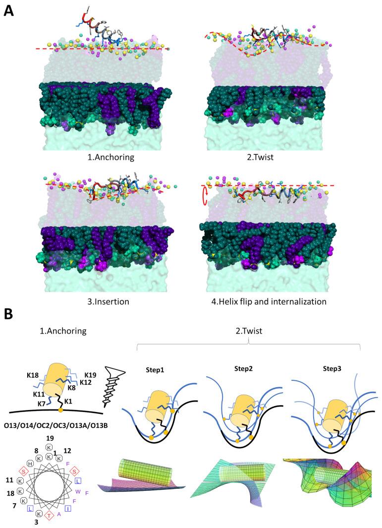 https://cdn.ncbi.nlm.nih.gov/pmc/blobs/c479/7821925/c46e37e9472c/pharmaceuticals-14-00001-g005.jpg
