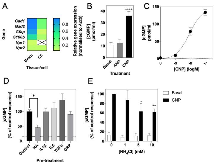 https://cdn.ncbi.nlm.nih.gov/pmc/blobs/c47c/7919485/8fbb56fe38c4/cells-10-00398-g001.jpg