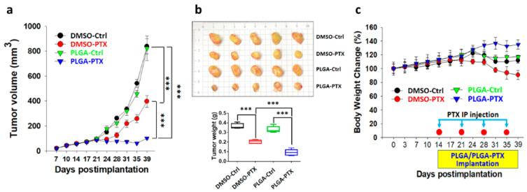 https://cdn.ncbi.nlm.nih.gov/pmc/blobs/c47e/8268060/4be0006a53e1/cancers-13-03350-g006.jpg
