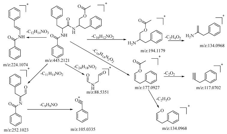 https://cdn.ncbi.nlm.nih.gov/pmc/blobs/c480/10254267/0505a0b58cb1/molecules-28-04504-g004.jpg