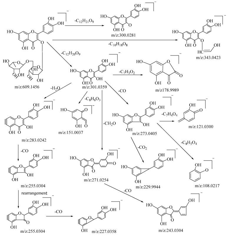 https://cdn.ncbi.nlm.nih.gov/pmc/blobs/c480/10254267/aeecca71b924/molecules-28-04504-g001.jpg