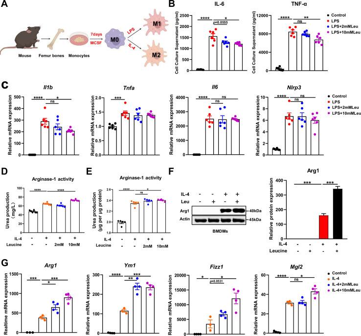 https://cdn.ncbi.nlm.nih.gov/pmc/blobs/c481/10942637/a49294d0e476/elife-89750-fig3.jpg