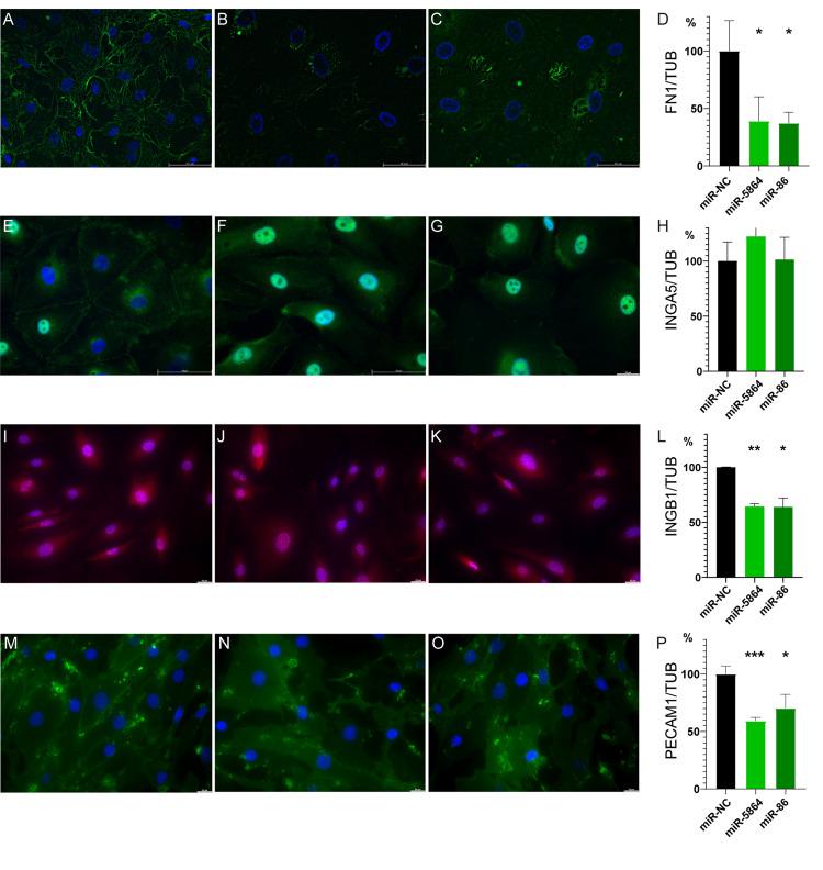 https://cdn.ncbi.nlm.nih.gov/pmc/blobs/c481/11706539/7f28a8510c5f/pntd.0012803.g003.jpg