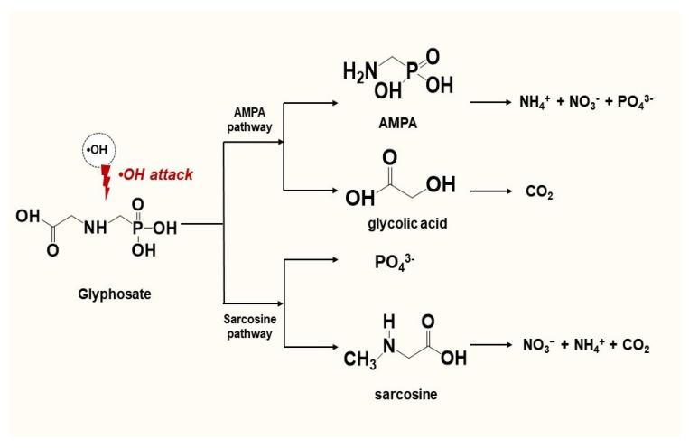 https://cdn.ncbi.nlm.nih.gov/pmc/blobs/c482/9919818/8a8fd7601bb1/polymers-15-00775-g012.jpg