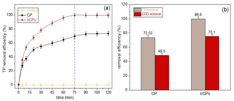 https://cdn.ncbi.nlm.nih.gov/pmc/blobs/c482/9919818/8e05c8ff63b2/polymers-15-00775-g008.jpg