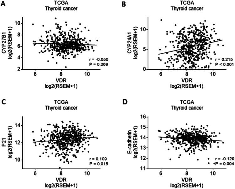 https://cdn.ncbi.nlm.nih.gov/pmc/blobs/c483/8988685/cda194502290/10.1177_15330338221089933-fig4.jpg
