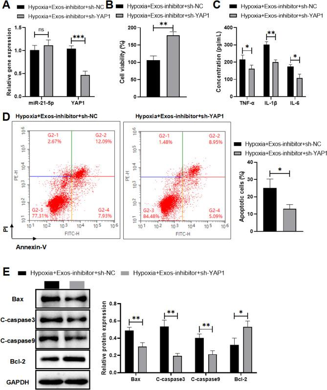 https://cdn.ncbi.nlm.nih.gov/pmc/blobs/c484/11465913/35419eb81d27/12872_2024_4197_Fig6_HTML.jpg