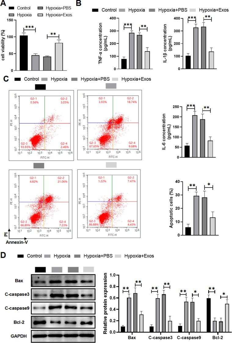 https://cdn.ncbi.nlm.nih.gov/pmc/blobs/c484/11465913/e2b3502abf5a/12872_2024_4197_Fig2_HTML.jpg