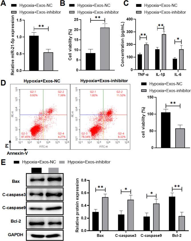 https://cdn.ncbi.nlm.nih.gov/pmc/blobs/c484/11465913/edca7ec5802b/12872_2024_4197_Fig4_HTML.jpg