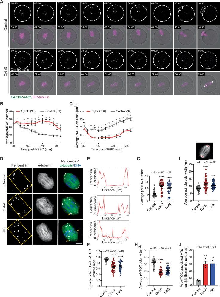 https://cdn.ncbi.nlm.nih.gov/pmc/blobs/c487/12449456/1f74e5b3b01e/41467_2025_63586_Fig2_HTML.jpg