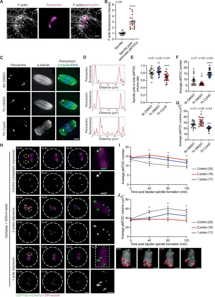 https://cdn.ncbi.nlm.nih.gov/pmc/blobs/c487/12449456/58cfdf4cfc82/41467_2025_63586_Fig7_HTML.jpg