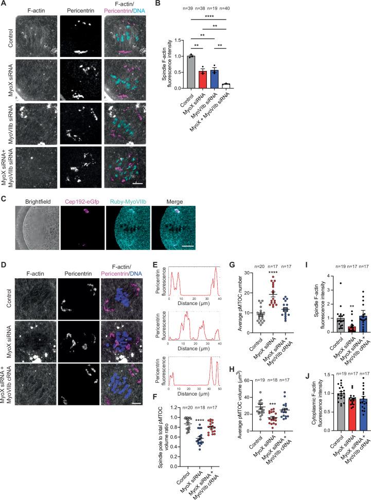 https://cdn.ncbi.nlm.nih.gov/pmc/blobs/c487/12449456/dfca6f289fcf/41467_2025_63586_Fig4_HTML.jpg