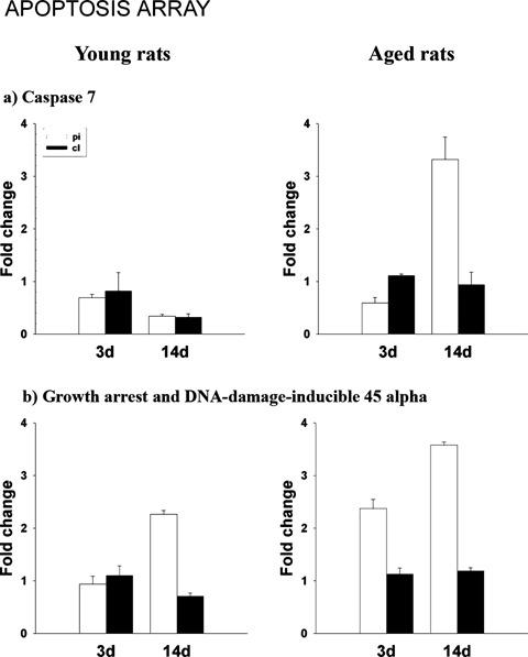 https://cdn.ncbi.nlm.nih.gov/pmc/blobs/c488/3828887/e47cf67083c6/jcmm0012-2731-f5.jpg