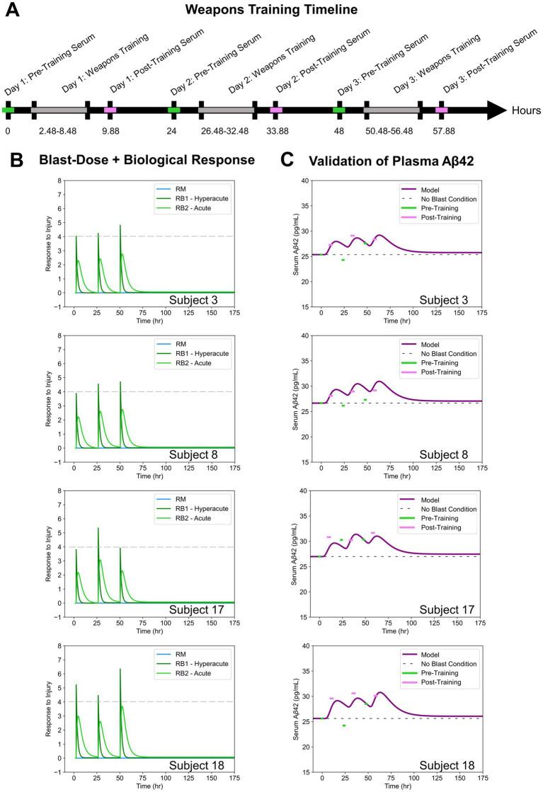 https://cdn.ncbi.nlm.nih.gov/pmc/blobs/c48d/12006977/69a8d071b4ab/fneur-16-1548589-g004.jpg
