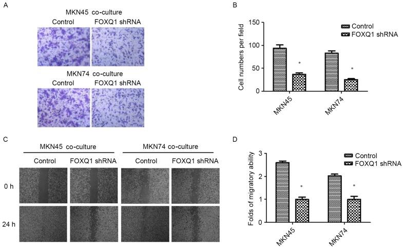 https://cdn.ncbi.nlm.nih.gov/pmc/blobs/c48d/5652949/d79178ebb5b9/OR-38-04-2003-g04.jpg