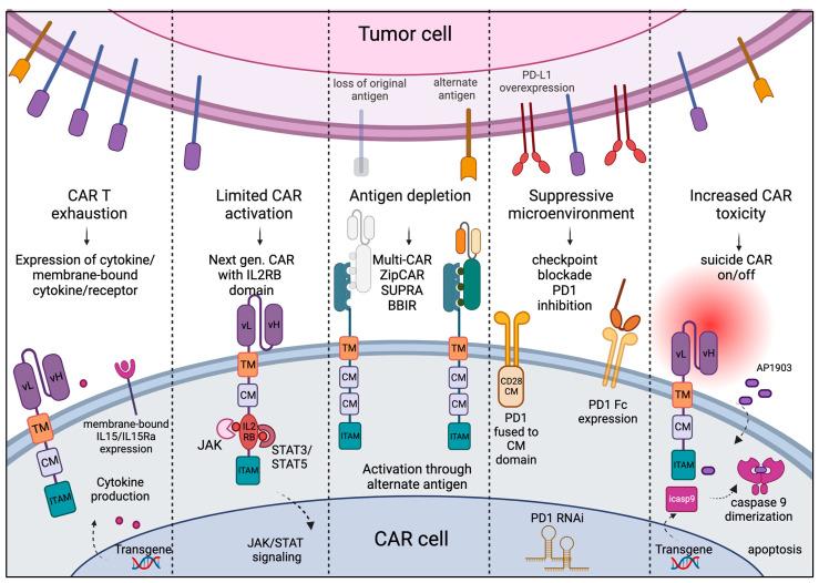 https://cdn.ncbi.nlm.nih.gov/pmc/blobs/c490/10660693/fdfb6ebe5588/hematolrep-15-00063-g002.jpg