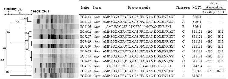 https://cdn.ncbi.nlm.nih.gov/pmc/blobs/c490/4630580/45b1a4ca8b2b/fmicb-06-01210-g001.jpg