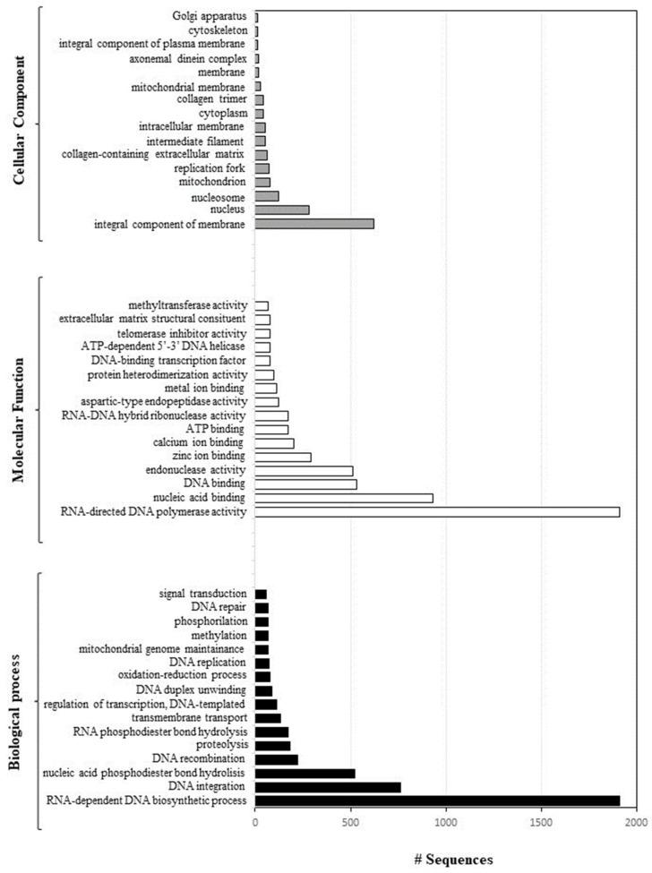 https://cdn.ncbi.nlm.nih.gov/pmc/blobs/c493/10855541/41f6519813cf/ijms-25-01685-g004.jpg