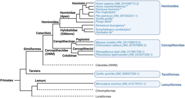 https://cdn.ncbi.nlm.nih.gov/pmc/blobs/c494/12233900/33d34d06a941/pgen.1011750.g001.jpg