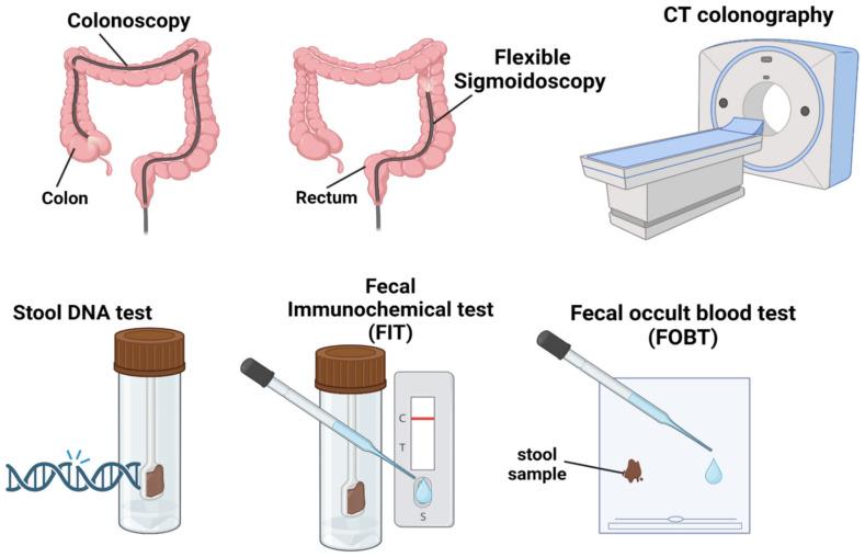 https://cdn.ncbi.nlm.nih.gov/pmc/blobs/c497/10296149/8259dddd866b/cancers-15-03202-g003.jpg