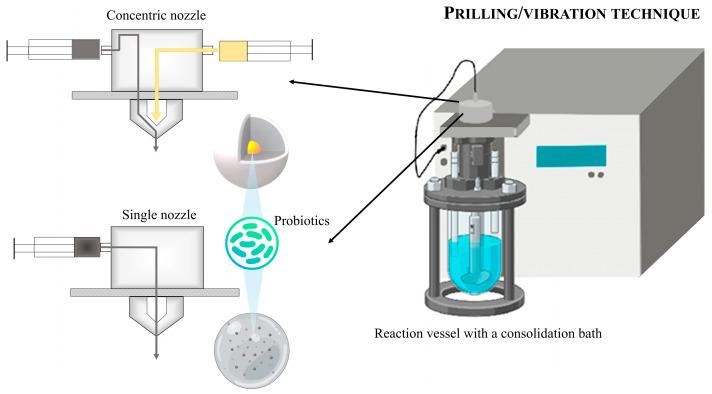https://cdn.ncbi.nlm.nih.gov/pmc/blobs/c498/11859715/bc910956aade/pharmaceutics-17-00185-g003.jpg