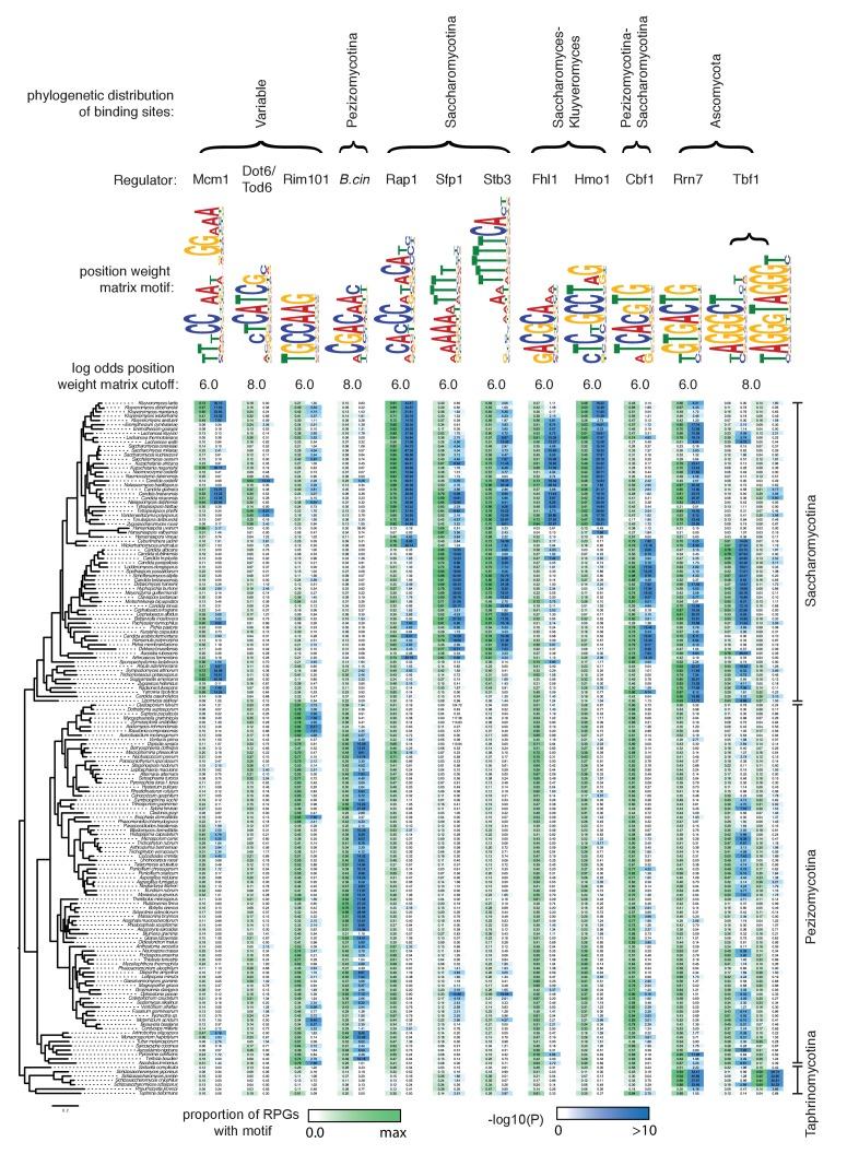https://cdn.ncbi.nlm.nih.gov/pmc/blobs/c499/6173580/2251956d2c4c/elife-37563-fig1-figsupp1.jpg