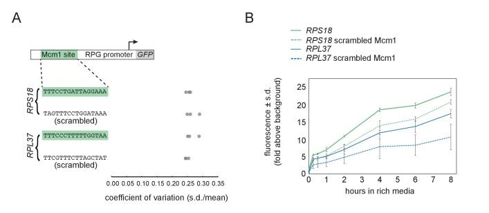https://cdn.ncbi.nlm.nih.gov/pmc/blobs/c499/6173580/ce14f8f4ae5e/elife-37563-fig1-figsupp2.jpg