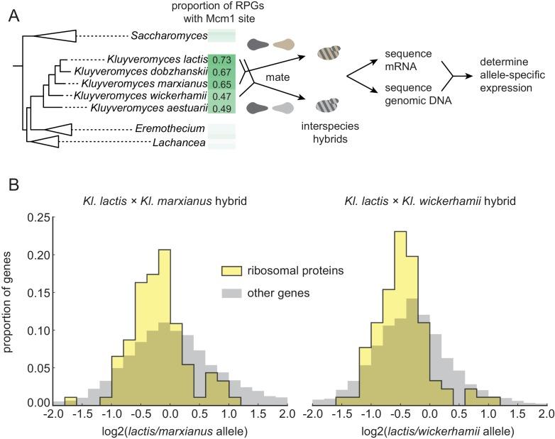 https://cdn.ncbi.nlm.nih.gov/pmc/blobs/c499/6173580/dd844c477304/elife-37563-fig2.jpg