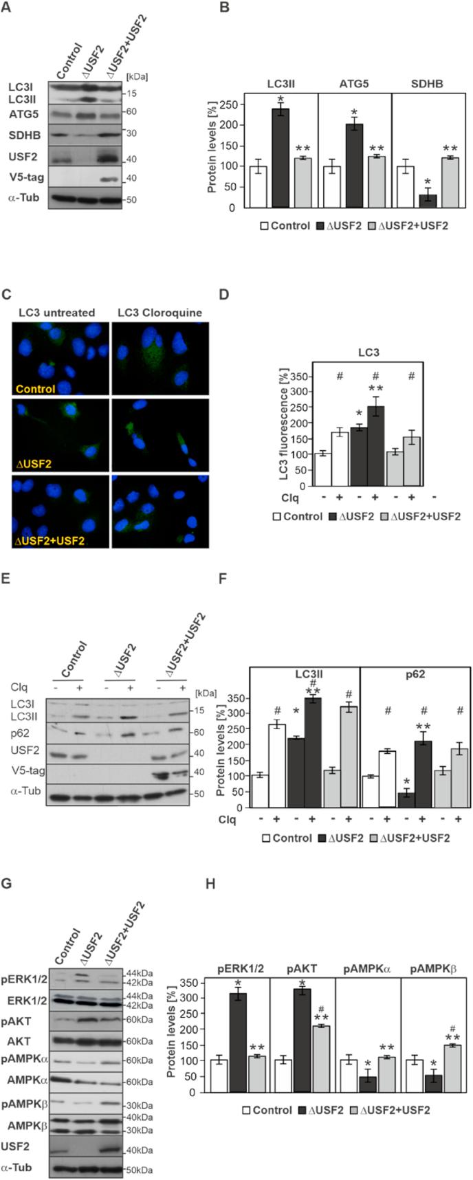 https://cdn.ncbi.nlm.nih.gov/pmc/blobs/c49c/7566946/2a94feffbfcb/gr4.jpg